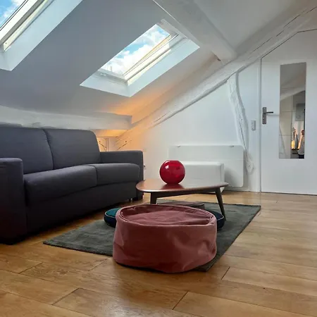 A Duplex With A Sacre Coeur's View Apartment